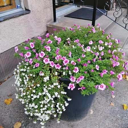 Puistotie Lejlighed *